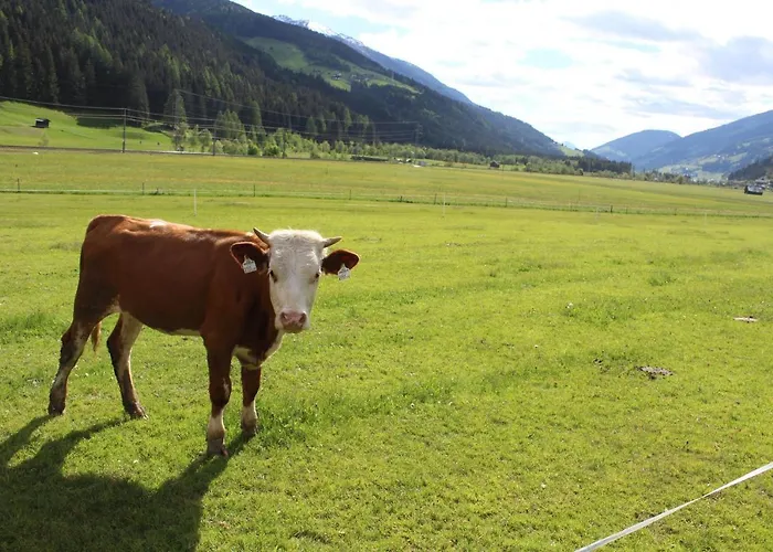 Hofgartnerhof Appartement
