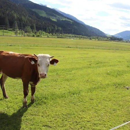 Hofgartnerhof 公寓